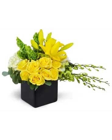 Premium size, 14 inches height and 21 inches wide.