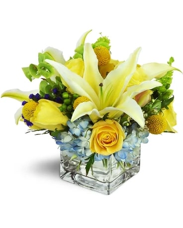 Premium size, 10 inches height and 12 inches wide.