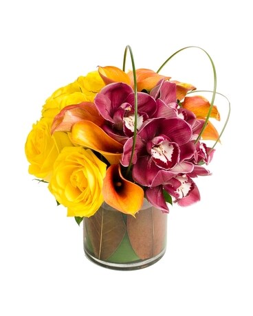 Standard size, 7 inches height and 7 inches wide.
