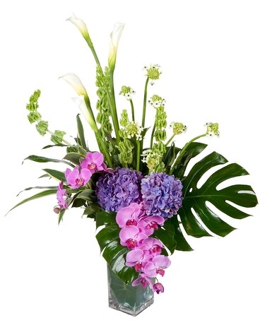 Standard (Shown) size, 20 inches height and 30 inches wide.