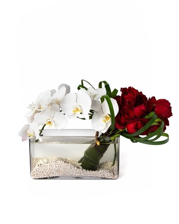 Standard (SHOWN) size, 4 inches height and 12 inches wide.