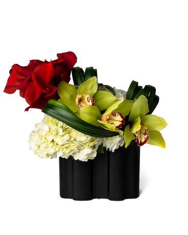 Standard (SHOWN) size, 6 inches height and 7 inches wide.