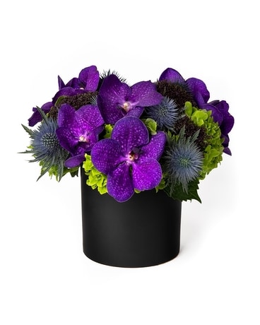 Standard size, 5 inches height and 5 inches wide.
