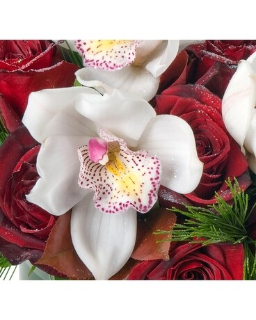 Premium & Compact (Good size for a coffee table) size, inches height and inches wide.