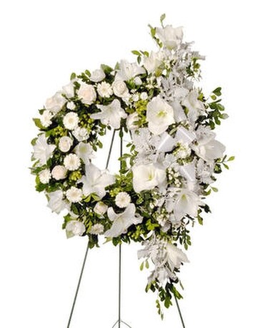 Deluxe (approx 26") size, inches height and inches wide.
