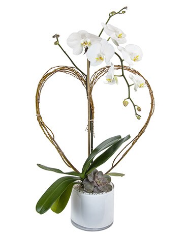 White Container (As Shown) size, 20 inches height and 10 inches wide.