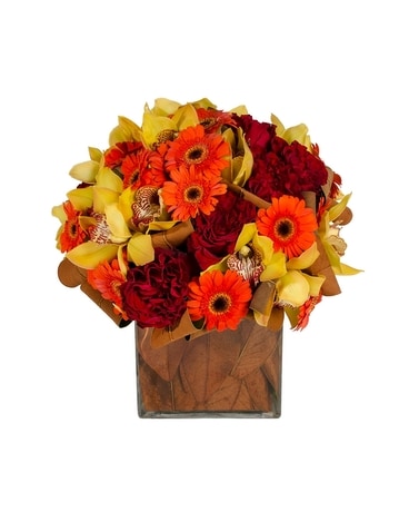 Standard size, 8 inches height and 8 inches wide.