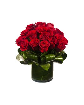 All Red Roses 3 Dozen size, inches height and inches wide.