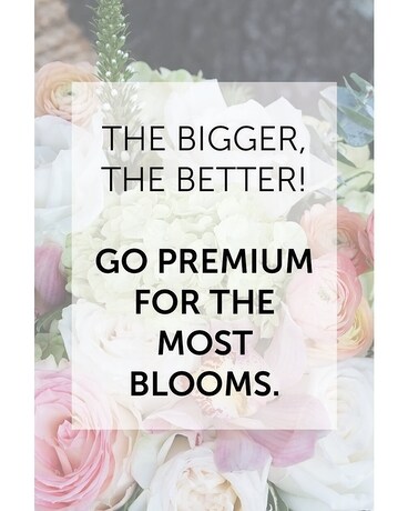 Premium size, inches height and inches wide.