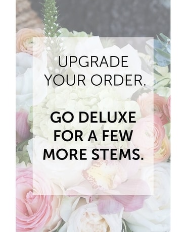 Deluxe (Most Popular!) size, inches height and inches wide.