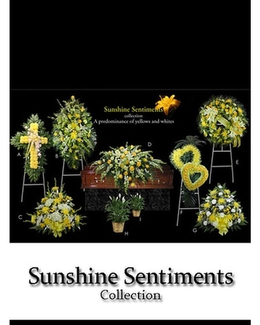 Sunshine Sentiments Collection size, inches height and inches wide.