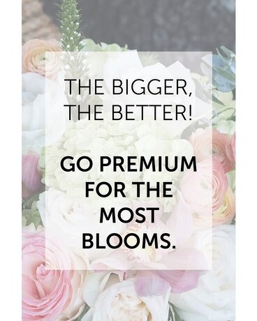 Premium size, inches height and inches wide.