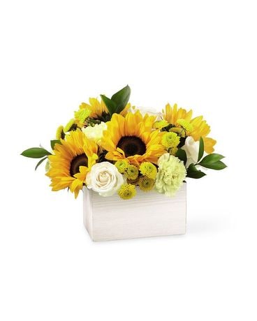 Deluxe size, inches height and inches wide.