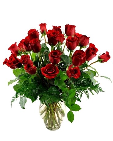 24 Red Roses size, inches height and inches wide.