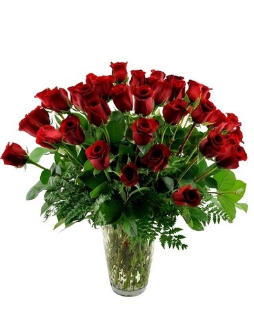 36 Red Roses size, inches height and inches wide.
