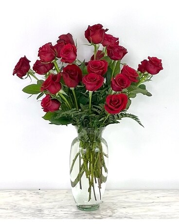 24 Red Roses size, inches height and inches wide.