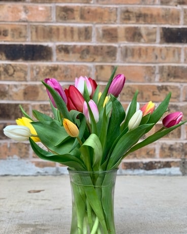 Deluxe size, inches height and inches wide.