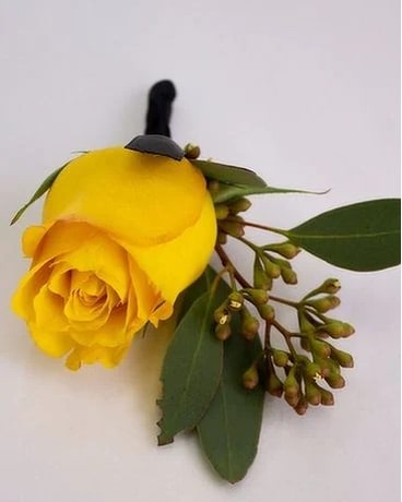 Yellow size, inches height and inches wide.
