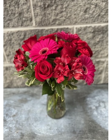 Premium size, inches height and inches wide.
