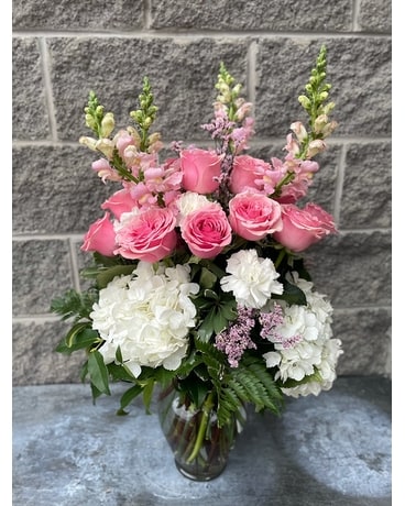 Premium size, inches height and inches wide.