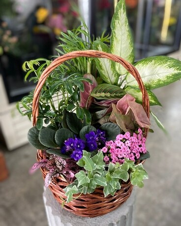 Deluxe - 10" Basket size, inches height and inches wide.