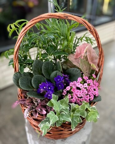 Premium - 12" Basket size, inches height and inches wide.