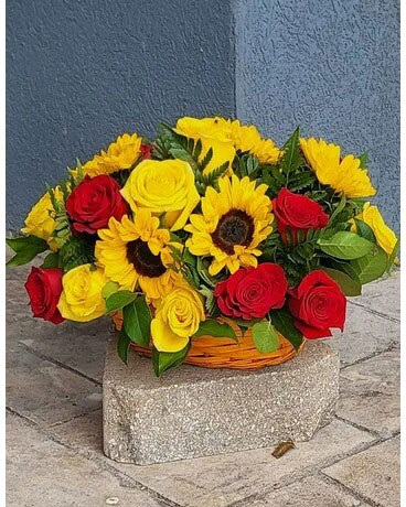 Basket size, inches height and inches wide.