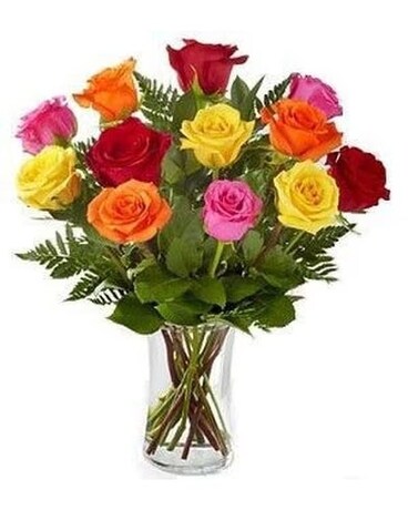 2 Dozen size, 26 inches height and 22 inches wide.