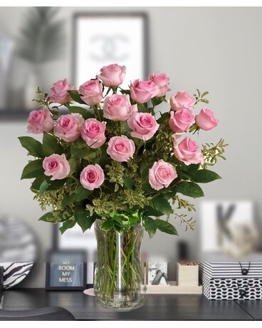 2 Dozen size, 26 inches height and 22 inches wide.