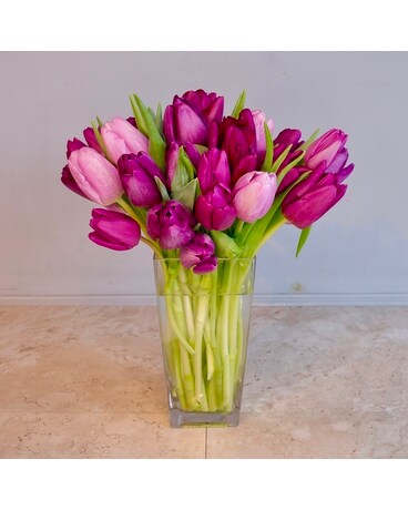 Simply Tulips In Tapered Glass Deluxe In Merion PA Long Stems