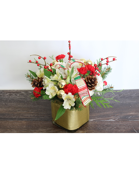 Standard size, 12 inches height and 12 inches wide.