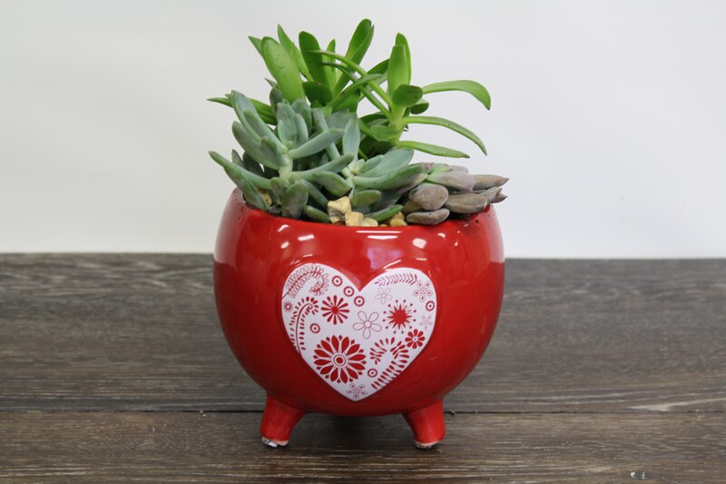 Standard size, 9 inches height and 6 inches wide.