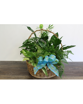 Standard size, 19 inches height and 16 inches wide.