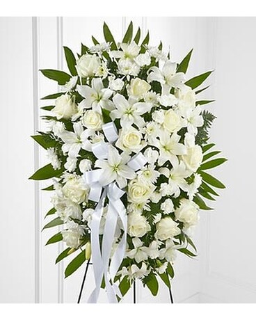 Deluxe size, inches height and inches wide.