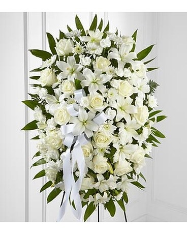 Premium size, inches height and inches wide.