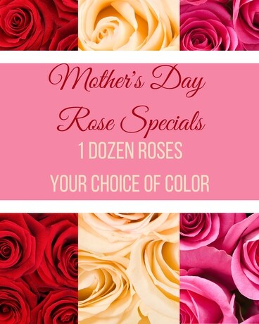 1 Dozen - Red Roses size, inches height and inches wide.