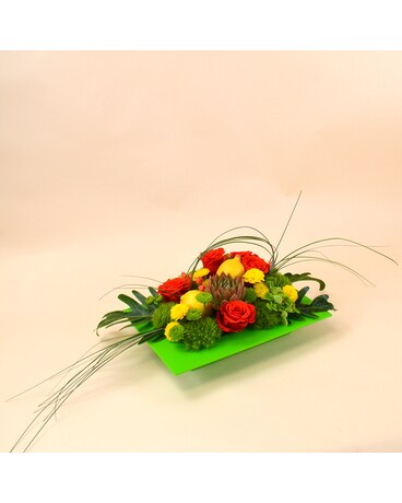 Deluxe size, inches height and inches wide.