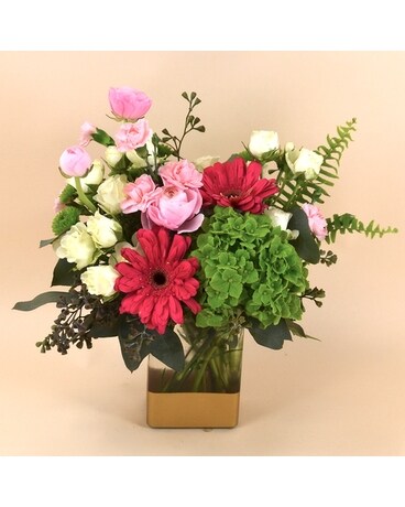 Deluxe size, inches height and inches wide.