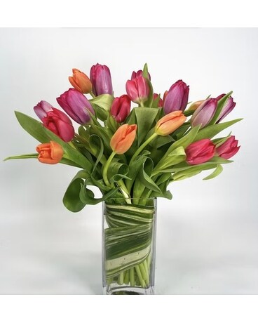 Mix Colors - 18 size, inches height and inches wide.
