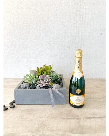 Garden and Champagne size, inches height and inches wide.