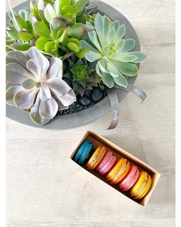 Floral Arrangement and Half Dozen Macarons size, inches height and inches wide.