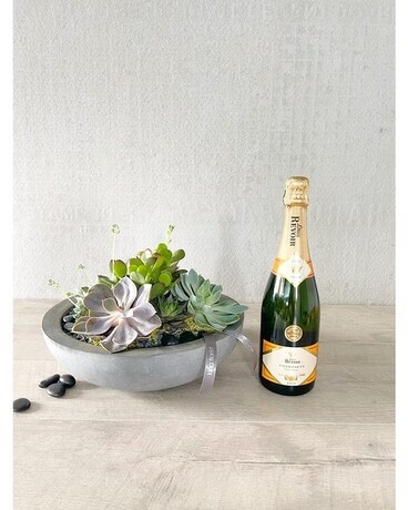 Floral Arrangement and All Add-ons size, inches height and inches wide.