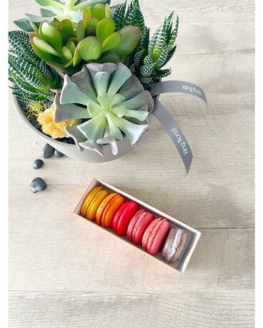 Garden and Half Dozen Macarons size, inches height and inches wide.
