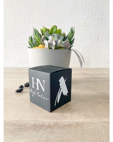 Garden and Candle size, inches height and inches wide.