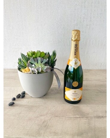 Garden and Champagne size, inches height and inches wide.