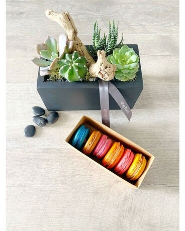 Garden, Half Dozen Macarons, and Candle size, inches height and inches wide.
