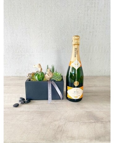 Garden and Champagne size, inches height and inches wide.