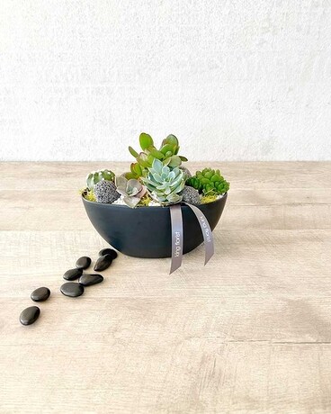 Garden Only size, 4 inches height and 9 inches wide.