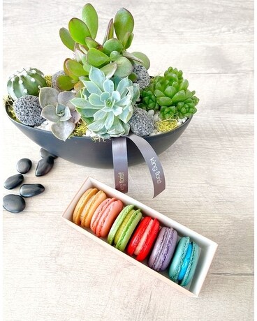 Garden and Half Dozen Macarons size, inches height and inches wide.