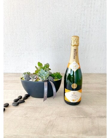 Garden and Champagne size, inches height and inches wide.